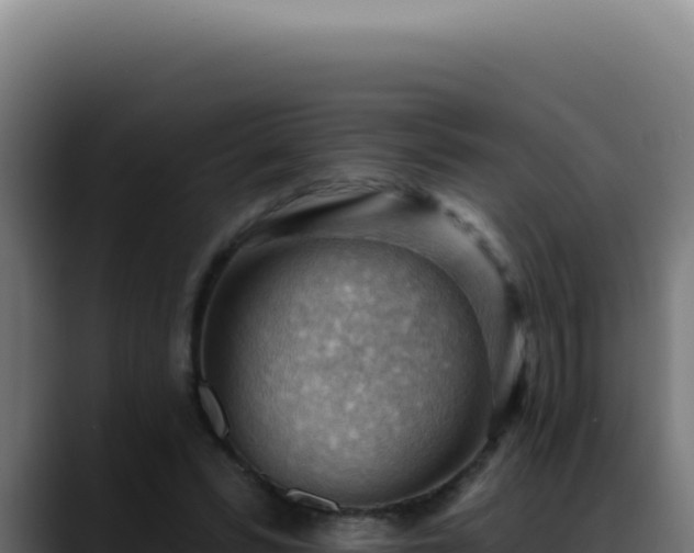 X0000088410399200705291453