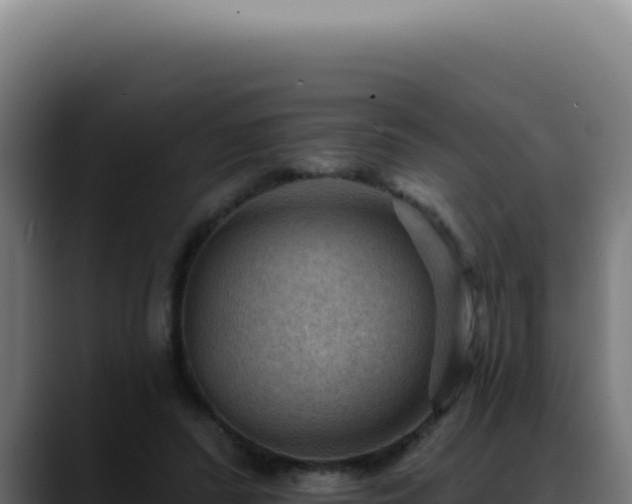 X0000088410400200705291453
