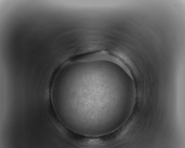 X0000088410401200705291453