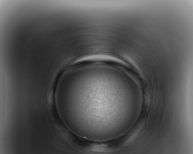 X0000088410403200705291453