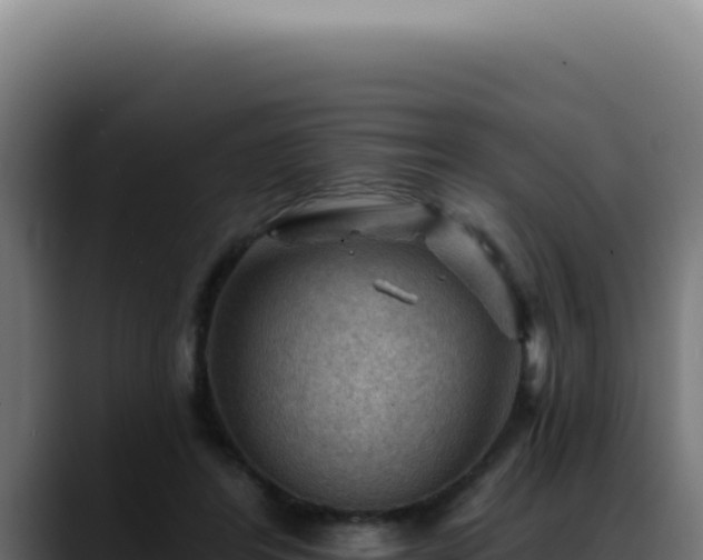 X0000088410404200705291453