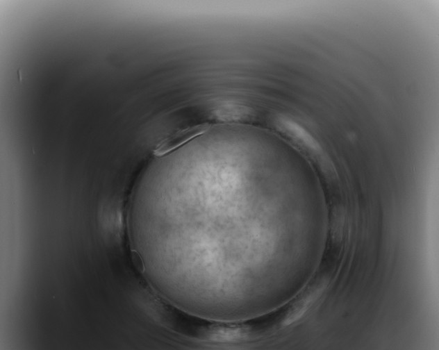 X0000088410405200705291453