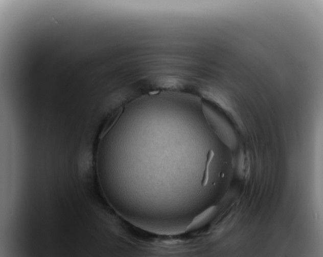 X0000088410407200705291453