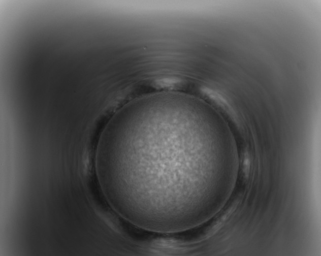 X0000088410408200705291453