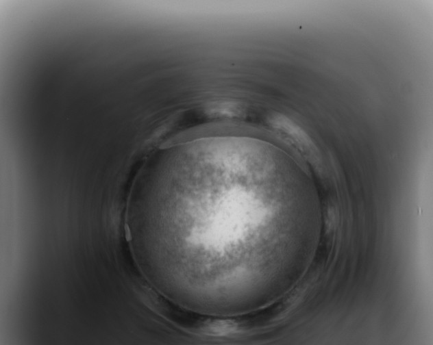 X0000088410409200705291453