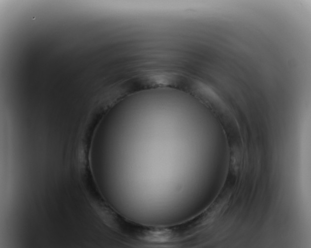 X0000088410410200705291453