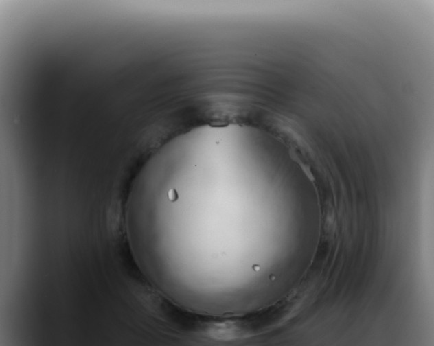 X0000088410411200705291453