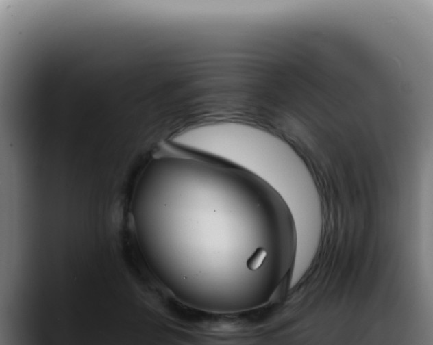 X0000088410412200705291453