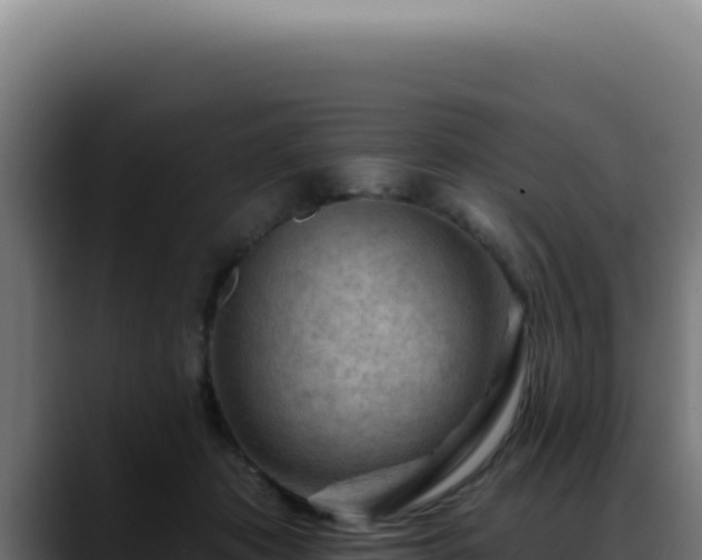 X0000088410413200705291453