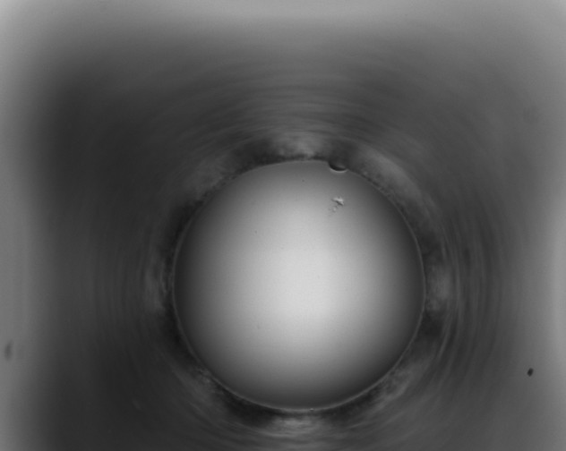 X0000088410414200705291453