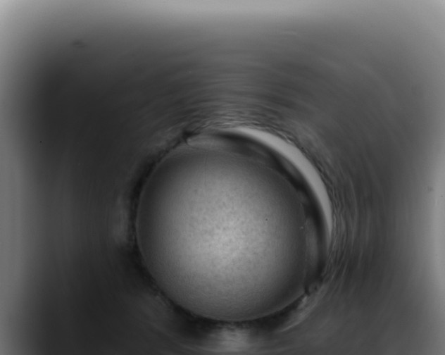 X0000088410416200705291453