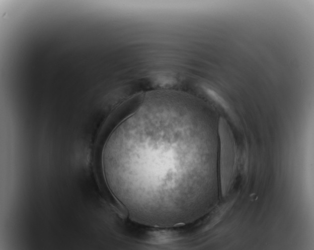 X0000088410417200705291453