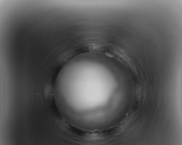 X0000088410419200705291453