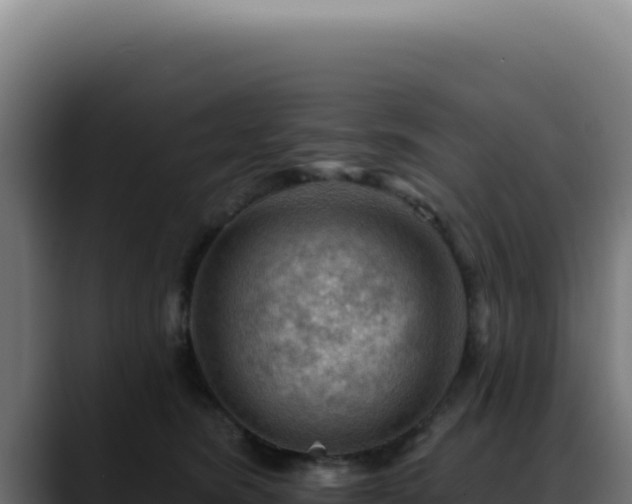 X0000088410420200705291453