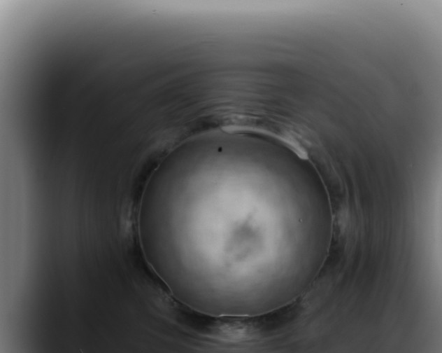 X0000088410423200705291453