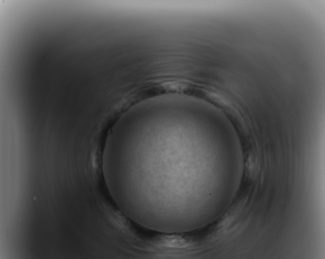 X0000088410424200705291453