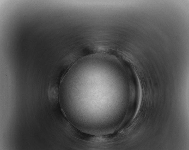 X0000088410425200705291453