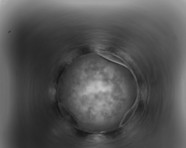 X0000088410427200705291453