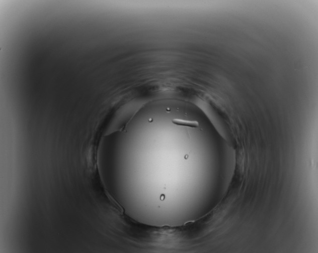 X0000088410428200705291453