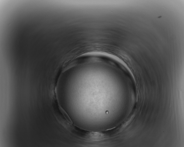 X0000088410429200705291453