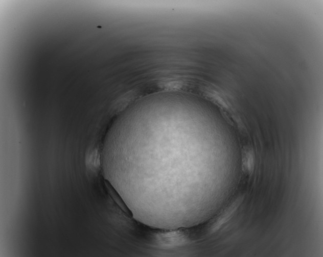 X0000088410431200705291453