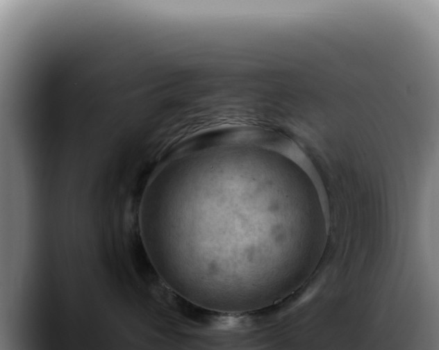 X0000088410432200705291453