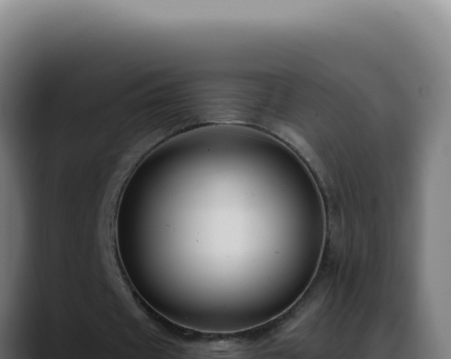 X0000088410433200705291452