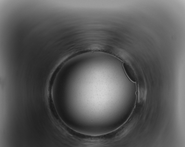X0000088410435200705291452