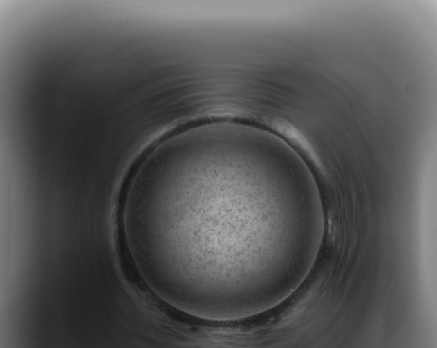 X0000088410436200705291452