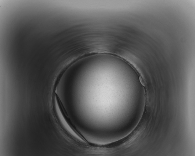 X0000088410437200705291452