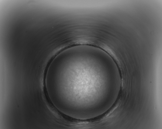 X0000088410438200705291452