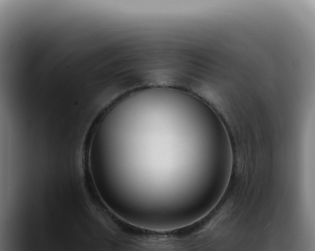X0000088410439200705291452