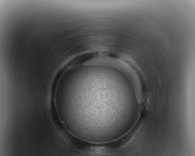 X0000088410440200705291452