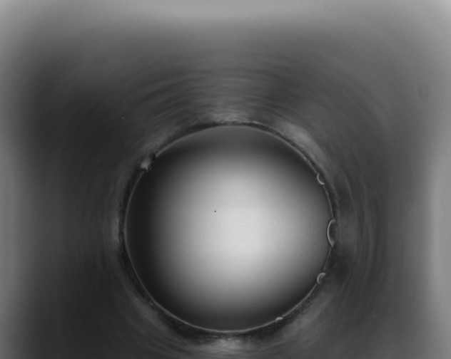 X0000088410441200705291452