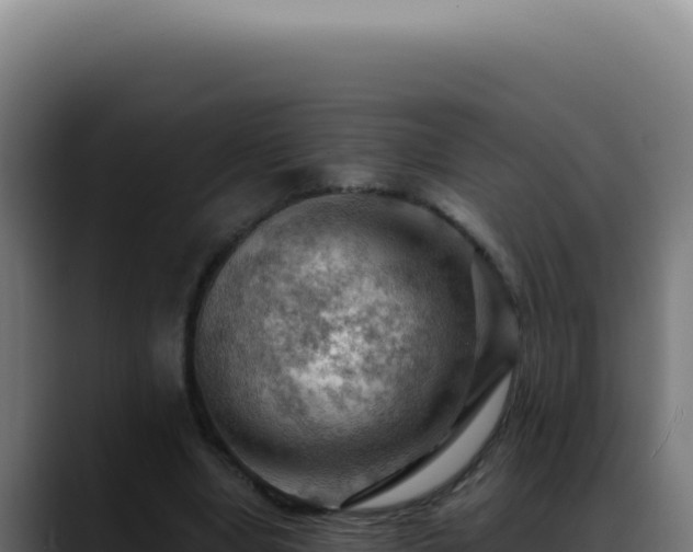 X0000088410442200705291452
