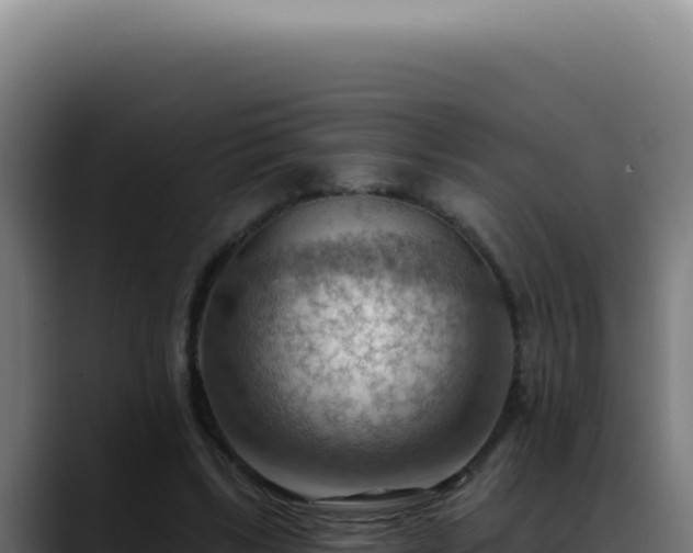 X0000088410443200705291452