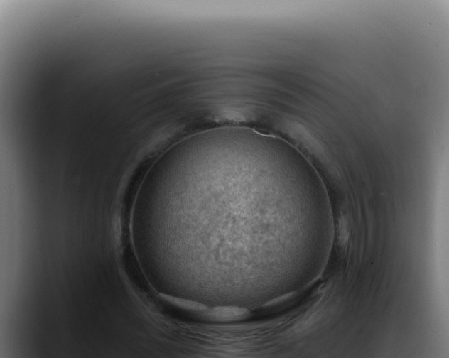 X0000088410444200705291452