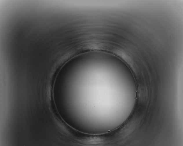 X0000088410445200705291452