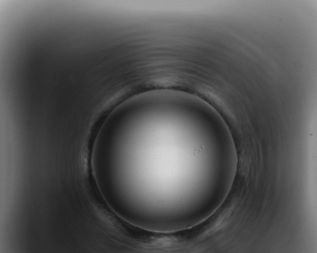 X0000088410446200705291452