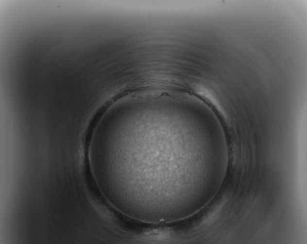 X0000088410447200705291452