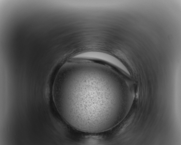 X0000088410448200705291452