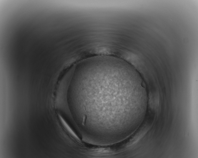 X0000088410449200705291452