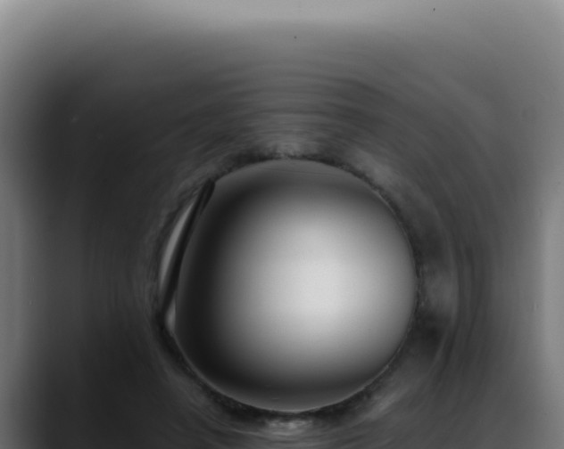 X0000088410450200705291452
