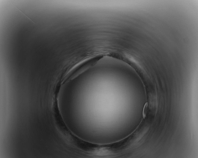 X0000088410451200705291452