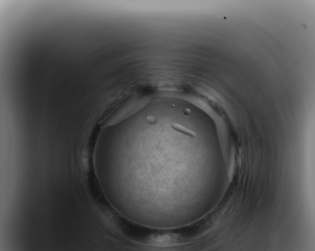 X0000088410452200705291452