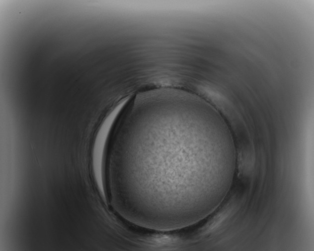 X0000088410453200705291452