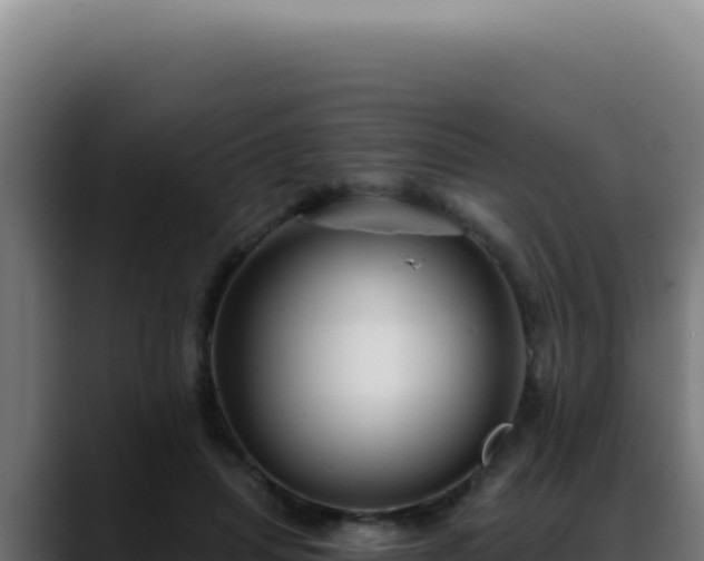 X0000088410455200705291452