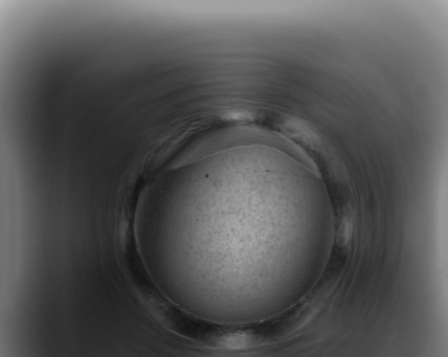 X0000088410456200705291452