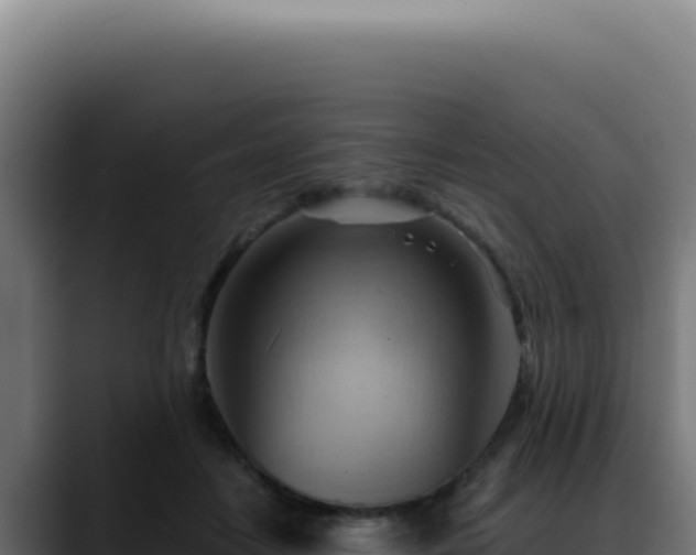 X0000088410458200705291452