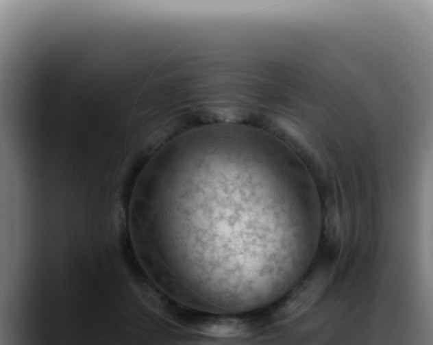 X0000088410459200705291452